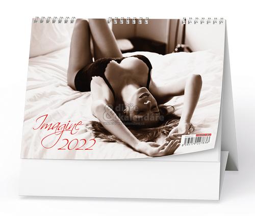 Stolní kalendář Girls - Imagine DÍVKY, 2022 